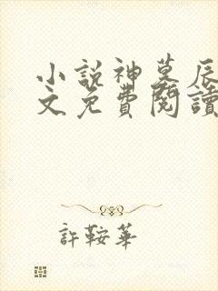 小说神墓辰东全文免费阅读