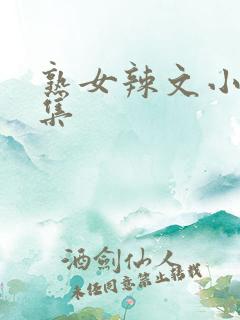 熟女辣文小说合集