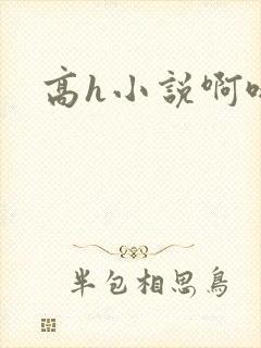 高h小说啊哦