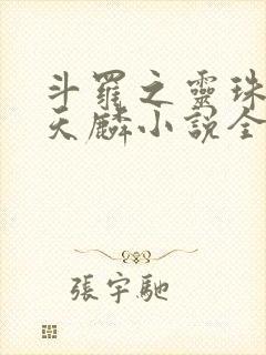 斗罗之灵珠神剑天麟小说全文免费阅读