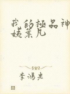 我的极品神级小姨叶凡