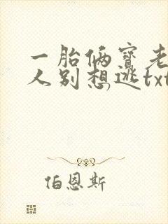 一胎俩宝老婆大人别想逃txt下载