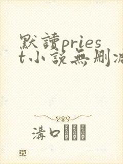 默读priest小说无删减正版在线阅读