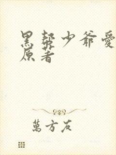 黑帮少爷爱上我原著
