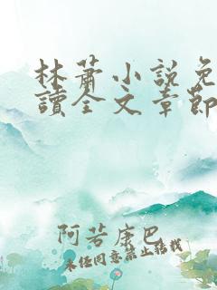 林萧小说免费阅读全文章节