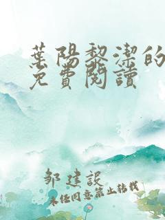 叶阳黎洁的小说免费阅读