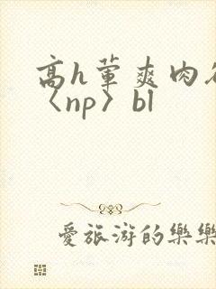 高h荤爽肉欲文〈np〉bl