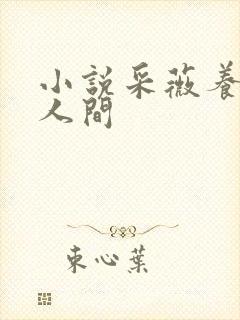 小说采薇养父在人间