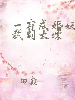一宠成婚妖孽总裁别太坏