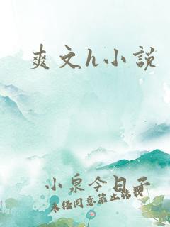 爽文h小说