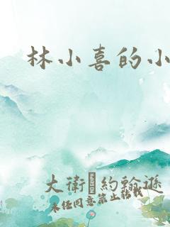 林小喜的小说