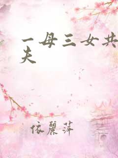 一母三女共侍一夫