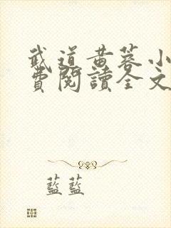 武道黄蓉小说免费阅读全文