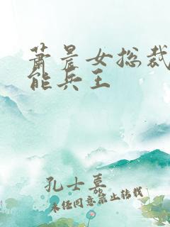 萧晨女总裁的全能兵王