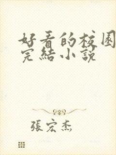 好看的校园言情完结小说