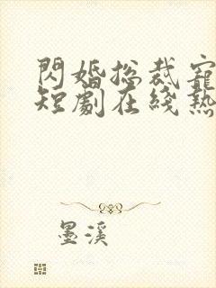 闪婚总裁宠上天短剧在线热播