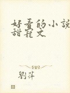 好看的小说言情甜宠文