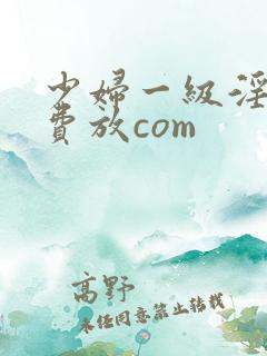 少妇一级淫片免费放com