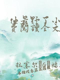 他最野了小说免费阅读全文