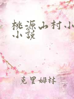 桃源山村小神医小说