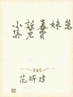 小说表妹万福全集免费