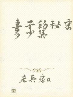 妻子的秘密一共多少集
