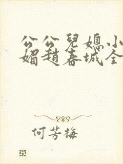 公公儿媳小说苏媚赵春城全文阅读