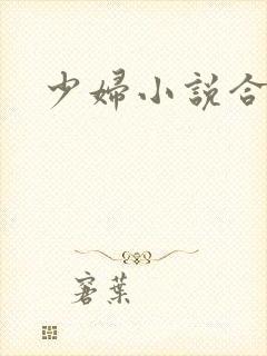 少妇小说合集