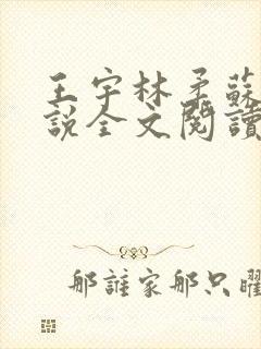 王宇林柔苏姐小说全文阅读