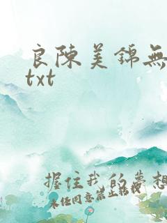 良陈美锦无删减txt