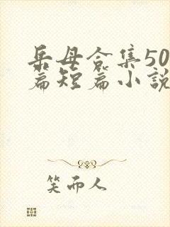 岳母合集500篇短篇小说 小说