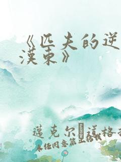 《匹夫的逆袭刘汉东》