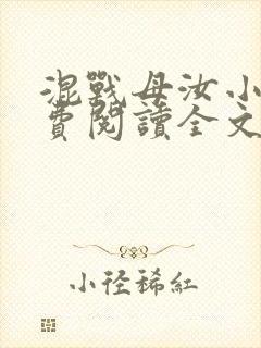 混战母汝小说免费阅读全文最新章节
