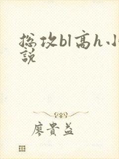 总攻bl高h小说