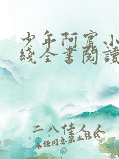 少年阿宾小说在线全书阅读无弹窗免费