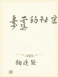 妻子的秘密有多少集