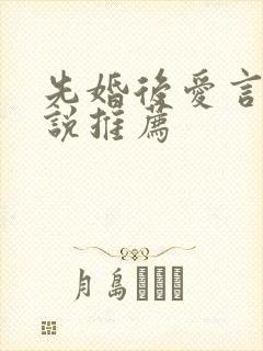 先婚后爱言情小说推荐