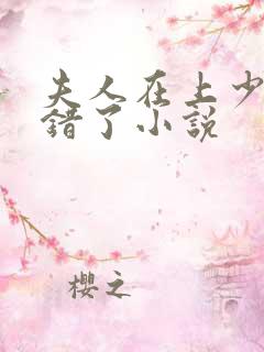 夫人在上少帅知错了小说