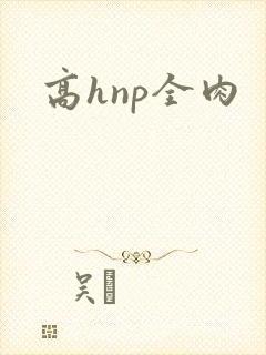 高hnp全肉