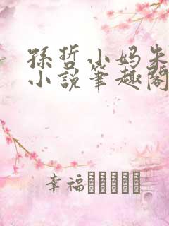 孙哲小妈朱颜的小说笔趣阁