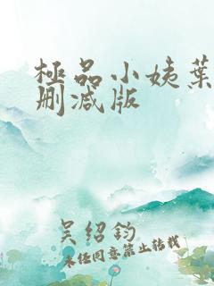 极品小姨叶凡无删减版