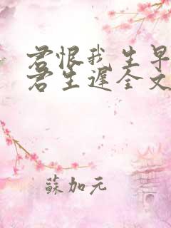 君恨我生早我恨君生迟全文