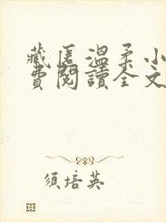 藏匿温柔小说免费阅读全文