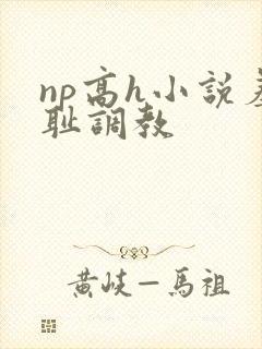 np高h小说羞耻调教