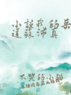 小说我的岳母林道苏沛真