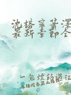 沈榕宁萧泽小说最新章节全文阅读