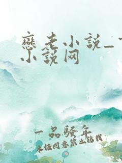 恋老小说_言情小说网