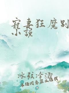 宠妻狂魔别太坏小说