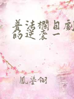普法栏目剧妻子的逆袭一