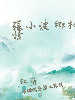 张小波 乡村爱情